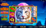 Newest Slot Game Available from Endorphina | MOON TIGER