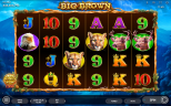 Big Brown: tragamonedas con osos y tiradas gratis