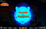 Newest Slot Game Available from Endorphina | MOON TIGER