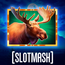 slotmash