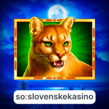 SoSlovenskeKasino