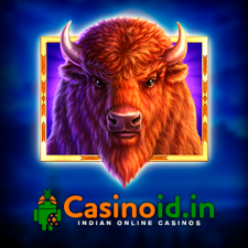 review from Casinoid