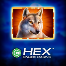 review From CasinoHEX