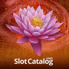 Review from Slotcatalog