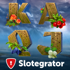 Review from Slotegrator.com