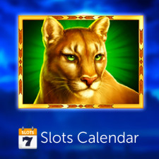 Slots Calendar