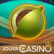 Review from JouerAuCasino.com