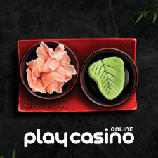 review from play casino online