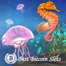 Review from BestBitcoinslots.com